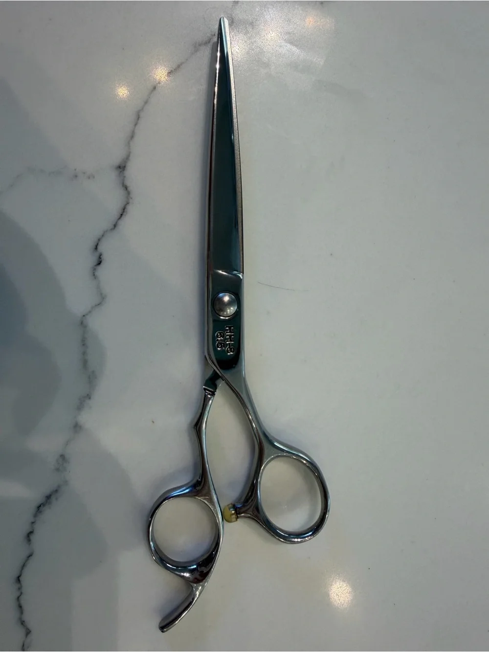 Professional Stainless Steel Grooming Scissors - Silver